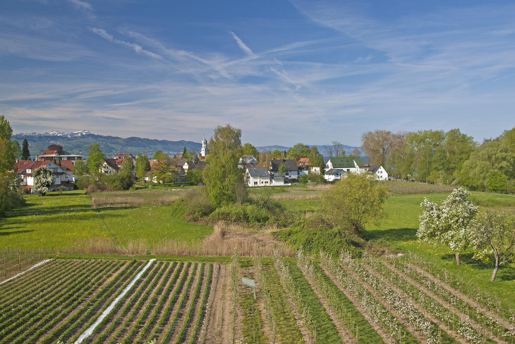 Hotel-Restaurant Walserhof Wasserburg Kültér fotó